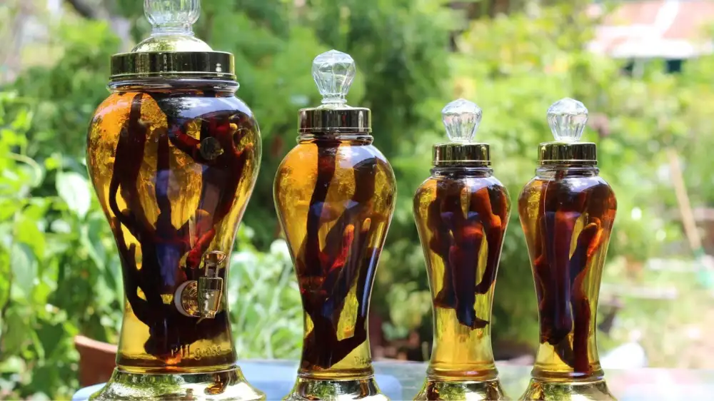 ruou ngam thuoc bac 04