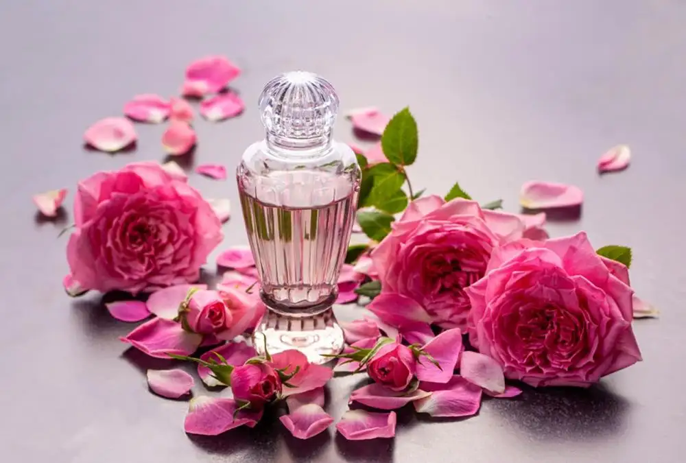 10+ Tinh dầu trị mụn đầu đen an toàn hiệu quả 10 tinh dau 10