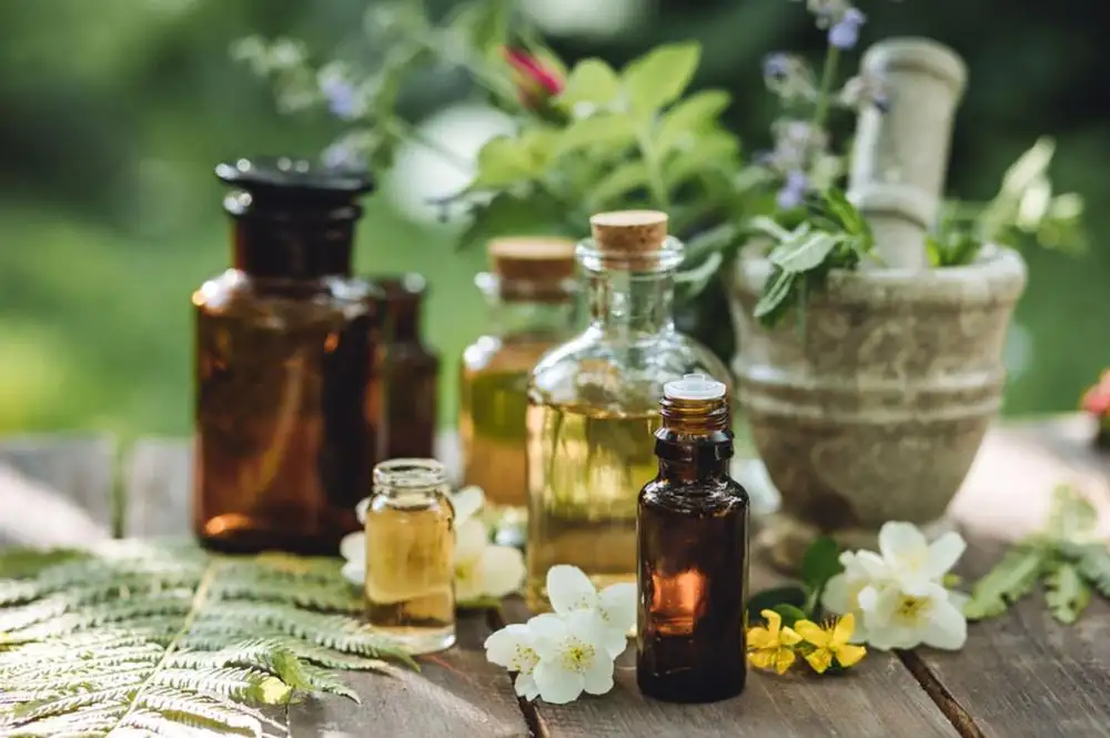 10+ Tinh dầu trị mụn đầu đen an toàn hiệu quả 2 tinh dau 2