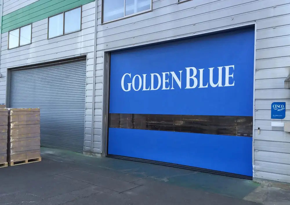 cua cuon nhanh sieu toc 44