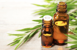 tinh dau tri mun dau den